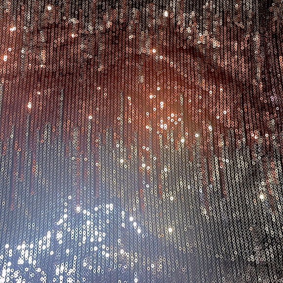 LOVE REIGN - NWT Ombré Metallic gold, rose gold and Silver Sequin, V-neck dress - Picture 4 of 12